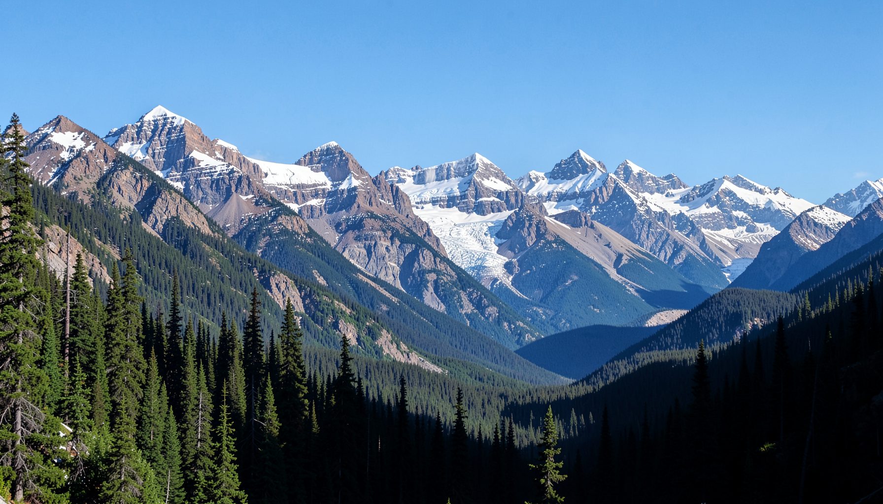 Panoramic mountain landscape with evergreen forests and snow-dusted peaks under a clear blue sky, evoking the Canadian Rockies around Banff.