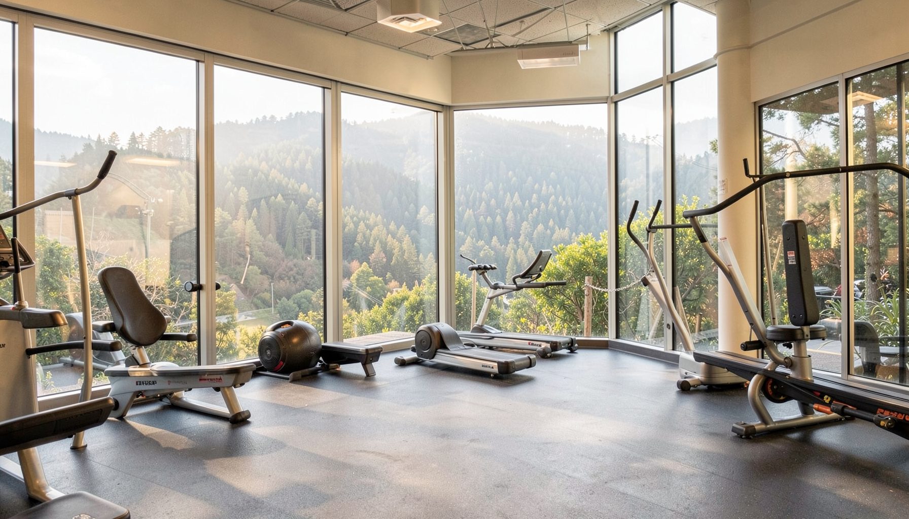 Indoor recreation facility with natural light, overlooking forested slopes in soft morning tones