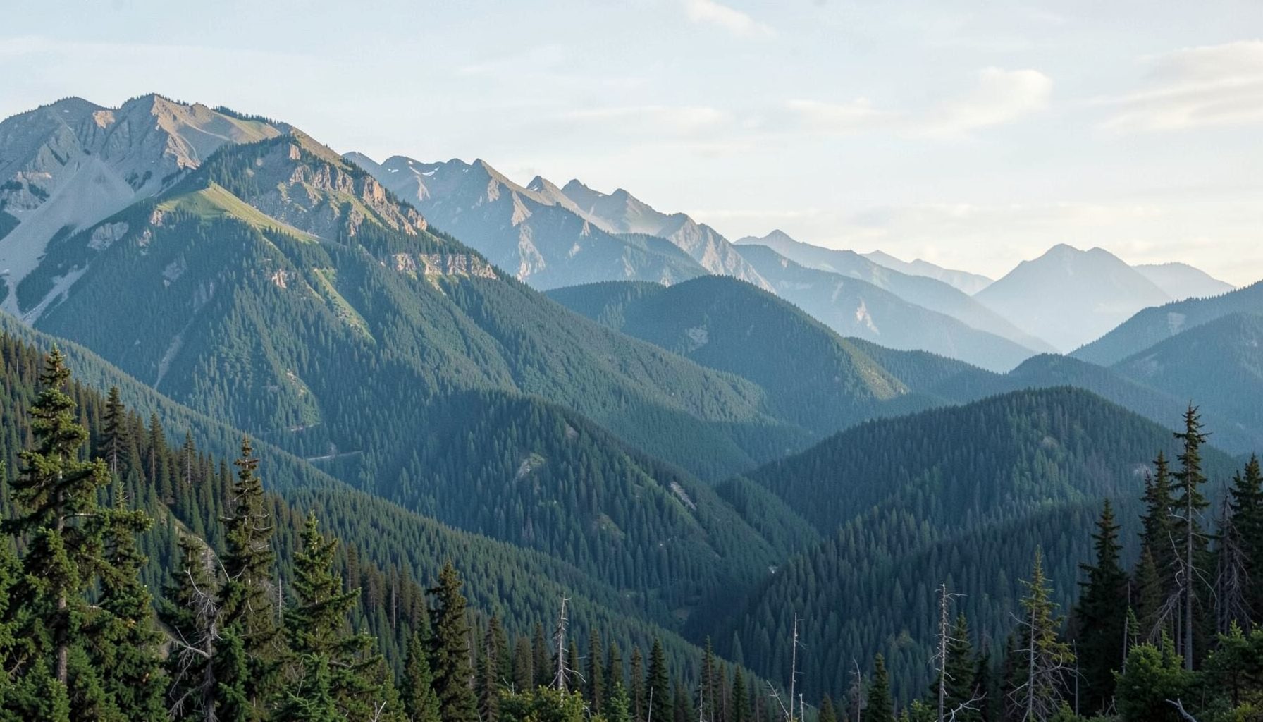 Panoramic banner of Banff's forested mountain ridges under a pale sky, in muted greens and blues