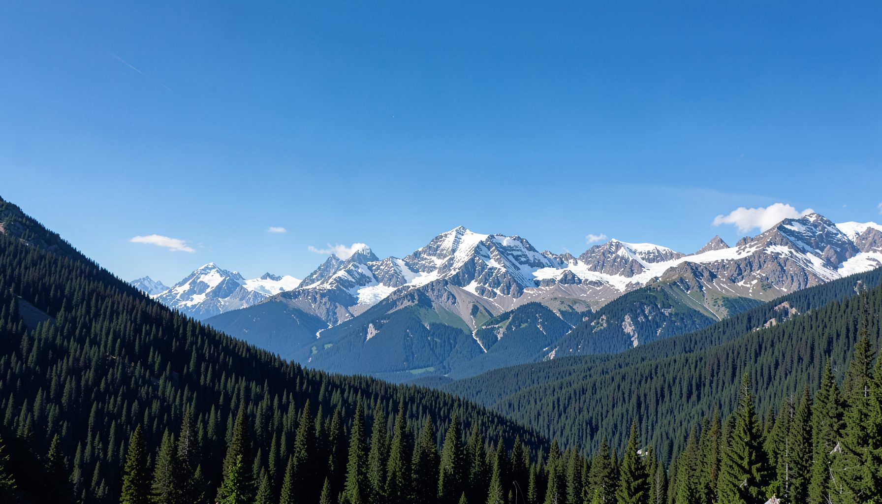 Panoramic mountain landscape with evergreen forests and snow-capped peaks under a clear blue sky
